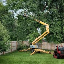 Lawn Grading and Leveling in Elk Mound, WI