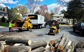 Best Pest Control for Lawns  in Elk Mound, WI